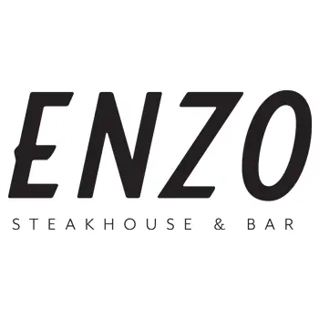 Enzo logo